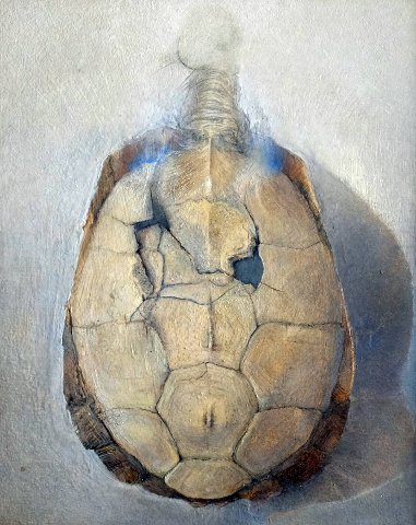Turtle. oil on board, 10 x 8 inches, 2013